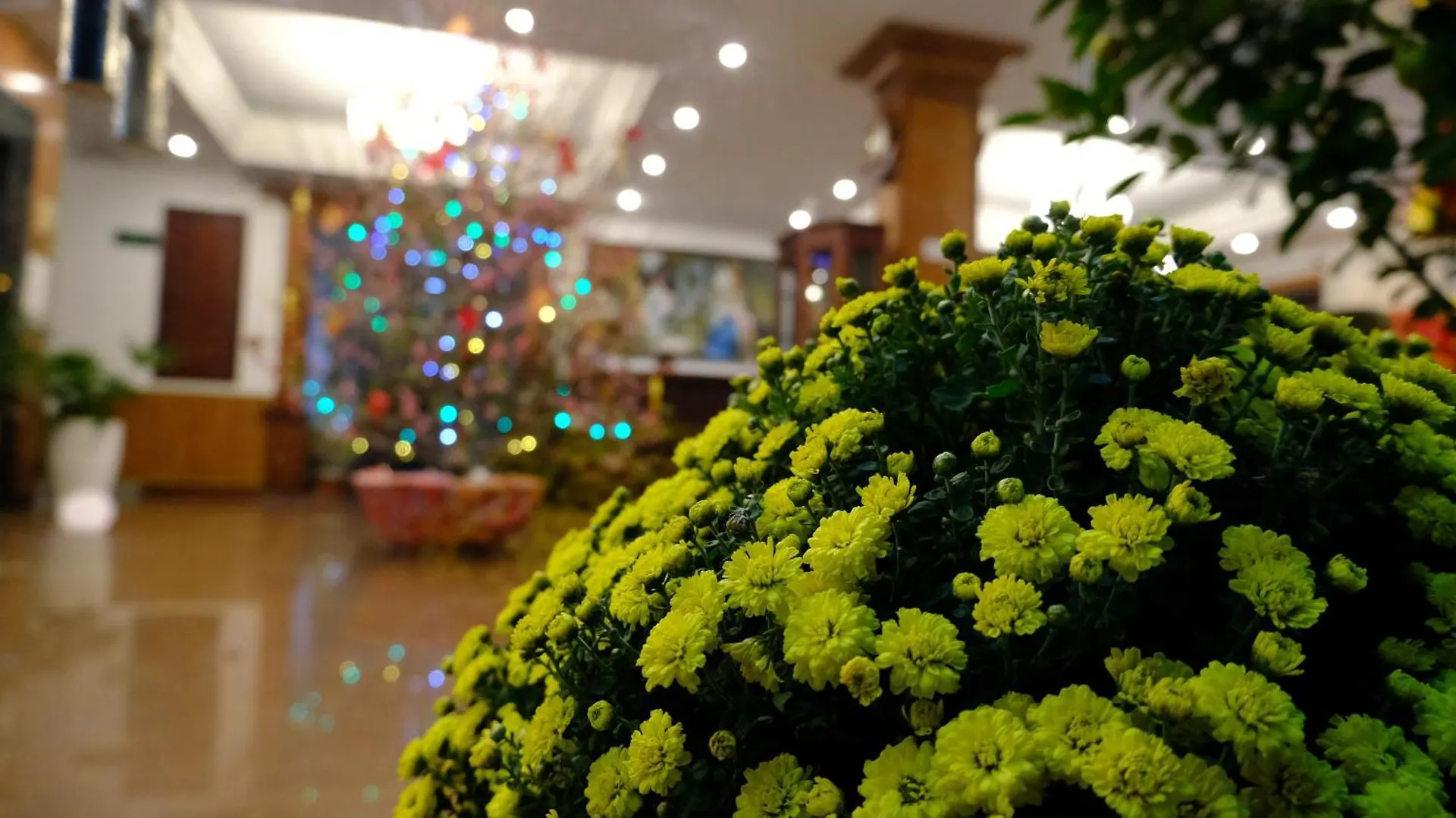 Hoa Phat Hotel & Apartment Ho Si Minh-város